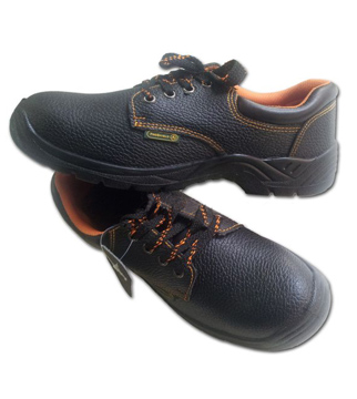giay proshield loai dan